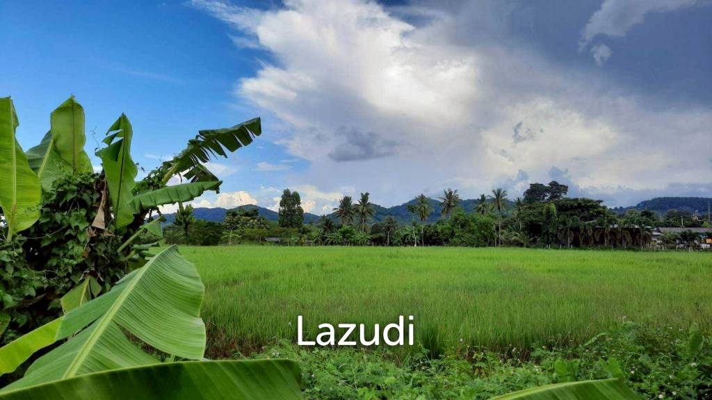 Land for sale 800 SQ.M. on the Main Road To Thoeng