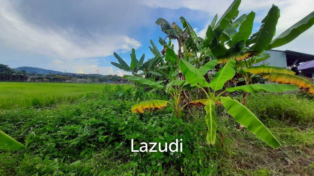 Land for sale 800 SQ.M. on the Main Road To Thoeng