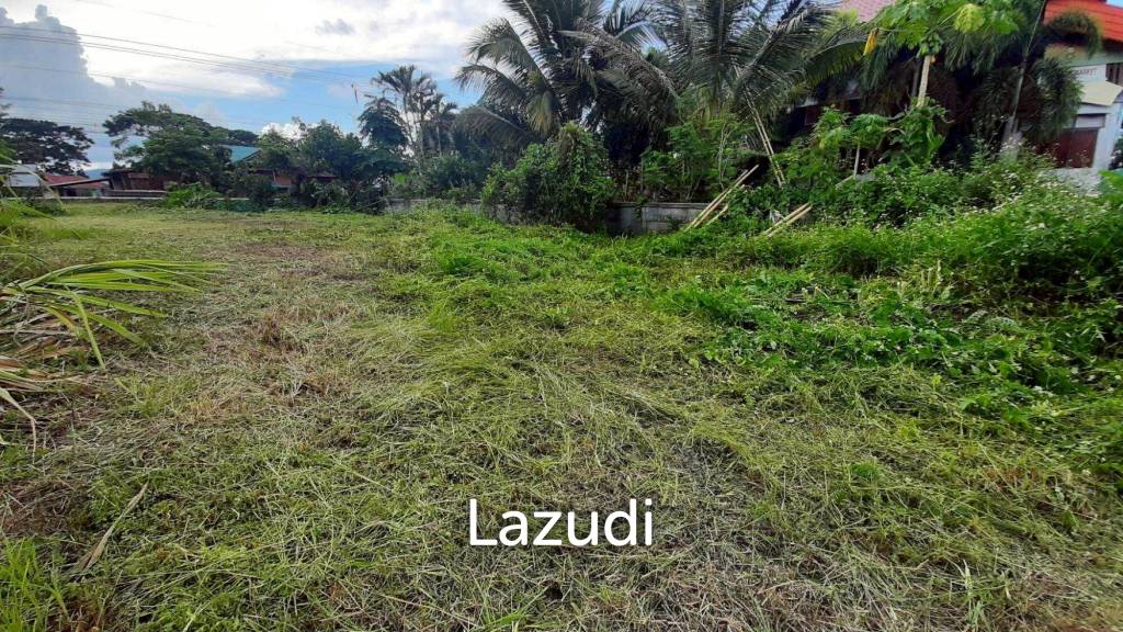 Land for sale 800 SQ.M. on the Main Road To Thoeng