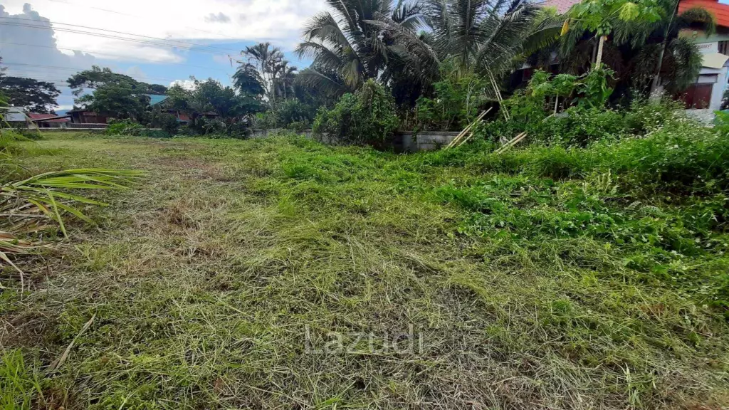 Land for sale 800 SQ.M. on the Main Road To Thoeng