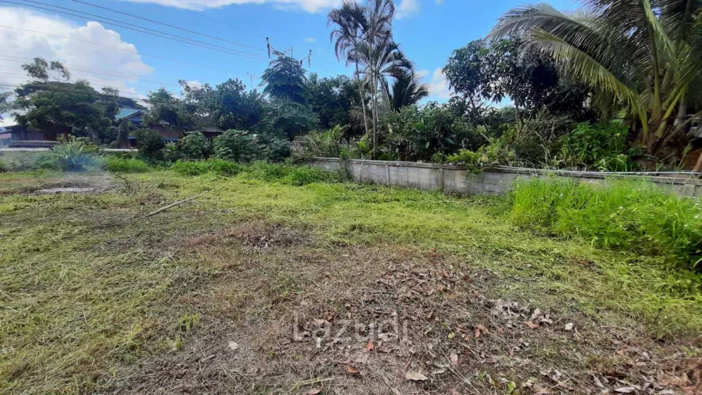Land for sale 800 SQ.M. on the Main Road To Thoeng