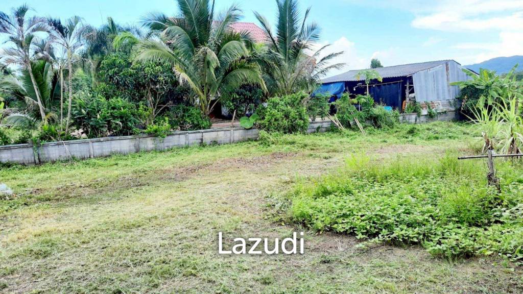 Land for sale 800 SQ.M. on the Main Road To Thoeng