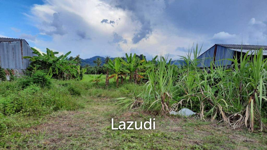 Land for sale 800 SQ.M. on the Main Road To Thoeng