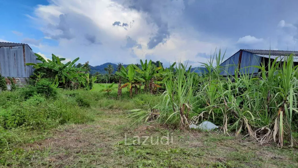 Land for sale 800 SQ.M. on the Main Road To Thoeng