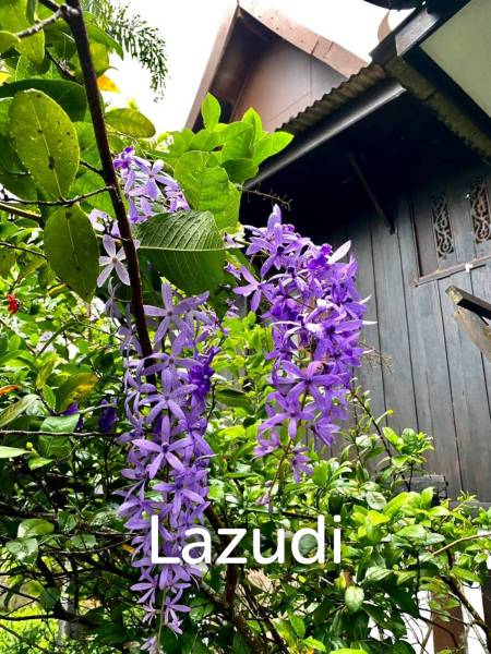 2 Bedrooms Lanna Style House For Sale in Garden