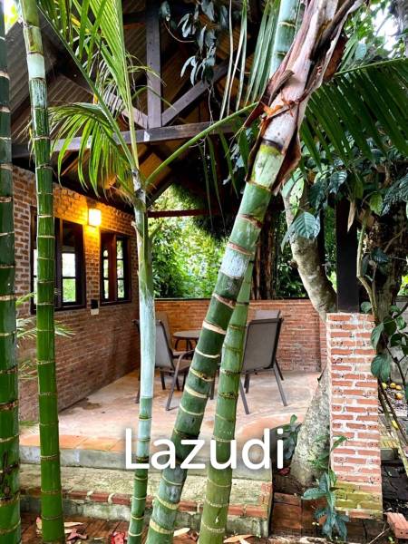 2 Bedrooms Lanna Style House For Sale in Garden