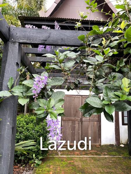 2 Bedrooms Lanna Style House For Sale in Garden