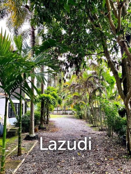 2 Bedrooms Lanna Style House For Sale in Garden