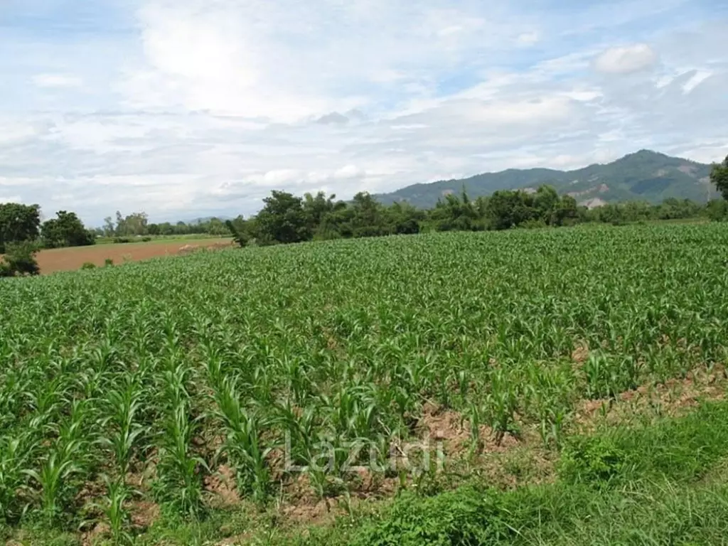 2,762 SQ.M. Beautiful Land For Sale With Mountain View