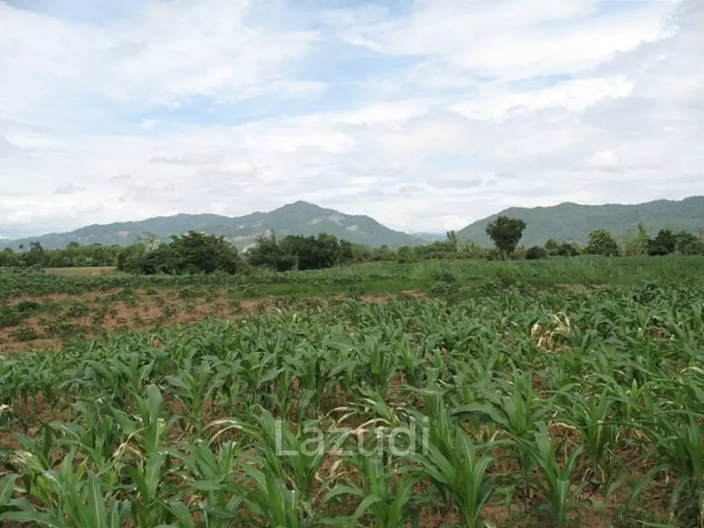 2,762 SQ.M. Beautiful Land For Sale With Mountain View