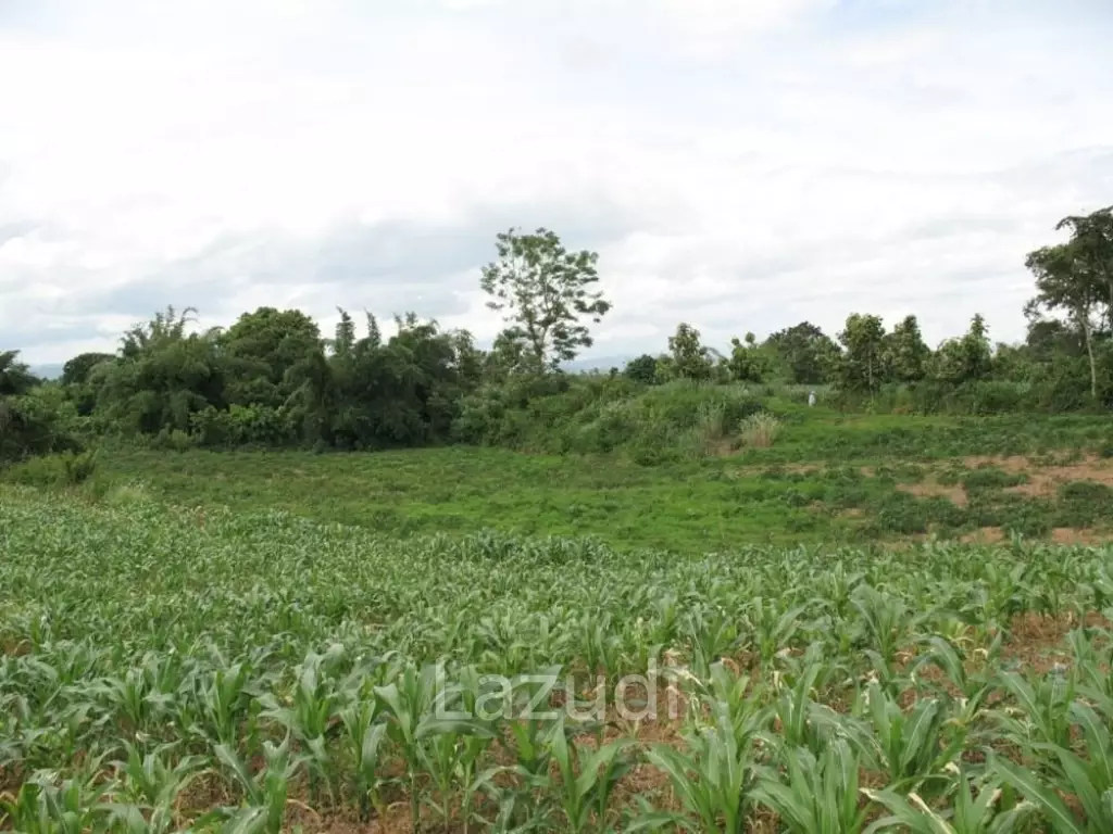 2,762 SQ.M. Beautiful Land For Sale With Mountain View
