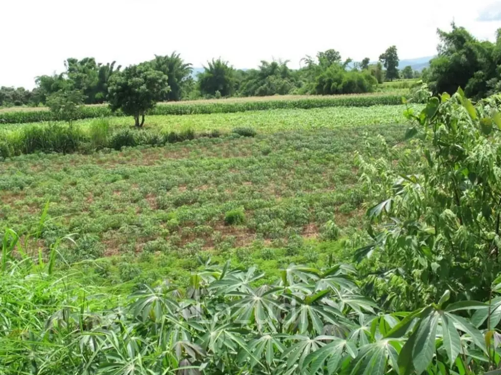 2,762 SQ.M. Beautiful Land For Sale With Mountain View