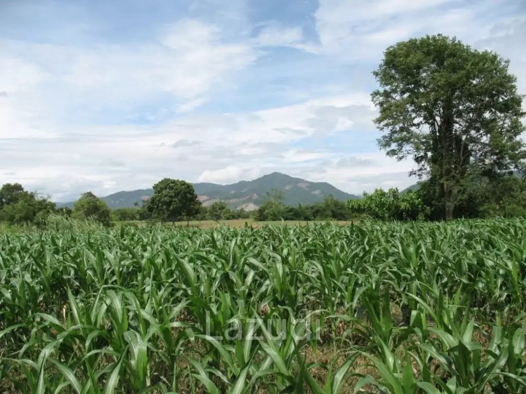 2,762 SQ.M. Beautiful Land For Sale With Mountain View
