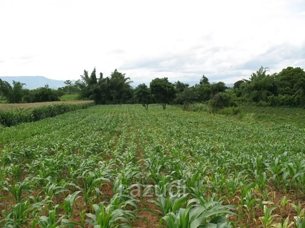 2,762 SQ.M. Beautiful Land For Sale With Mountain View