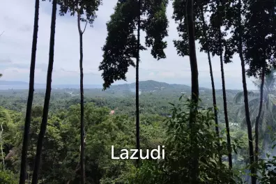 Seaview Jungle Land – Koh Phangan