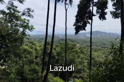 Seaview Jungle Land – Koh Phangan