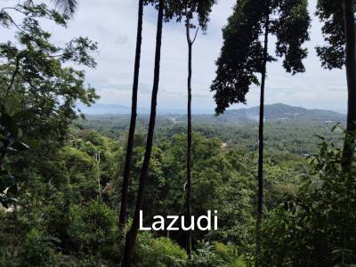 Seaview Jungle Land – Koh Phangan