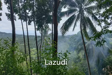 Seaview Jungle Land – Koh Phangan