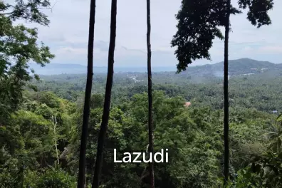 Seaview Jungle Land – Koh Phangan