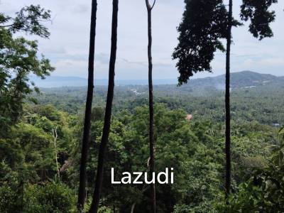 Seaview Jungle Land – Koh Phangan