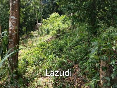 Seaview Jungle Land – Koh Phangan