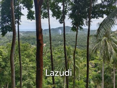 Seaview Jungle Land – Koh Phangan