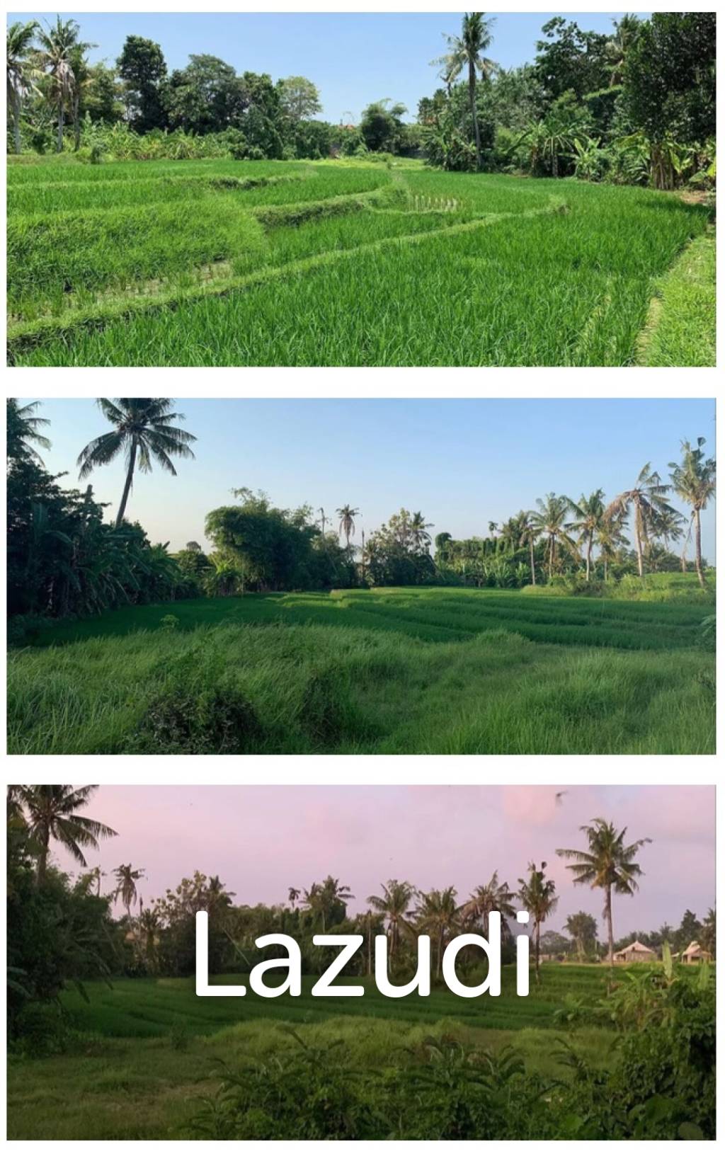 Rare Riverside Plots with Rice field views in Pererenan