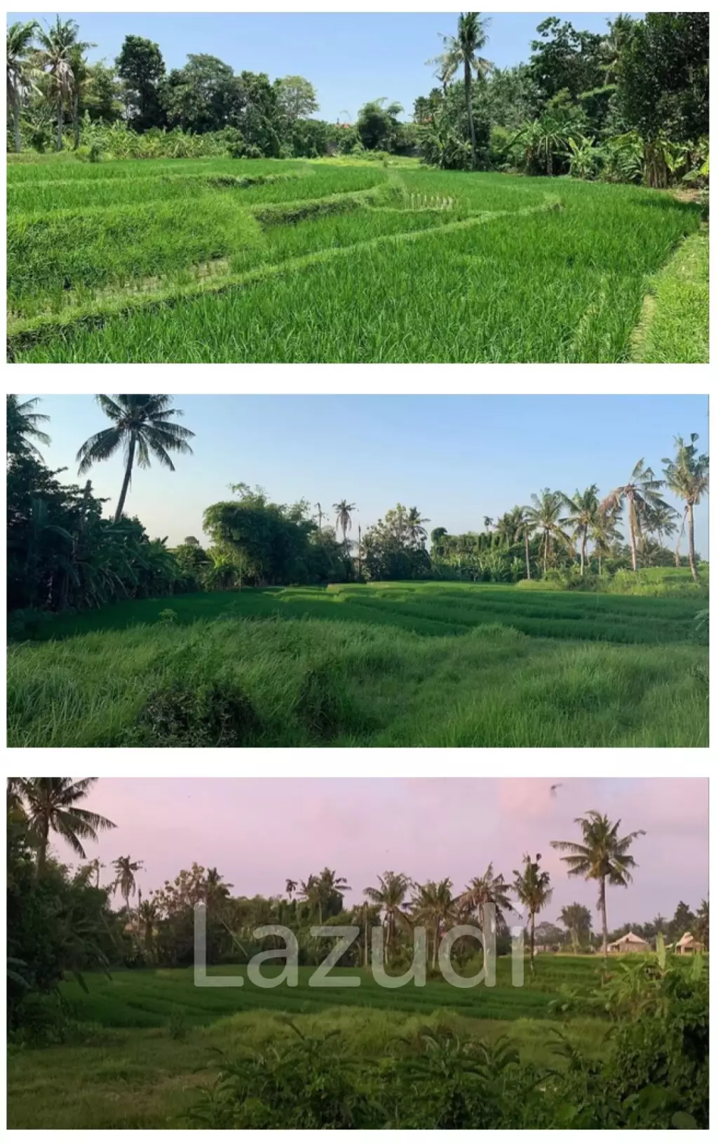 Rare Riverside Plots with Rice field views in Pererenan
