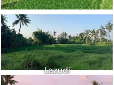 Rare Riverside Plots with Rice field views in Pererenan