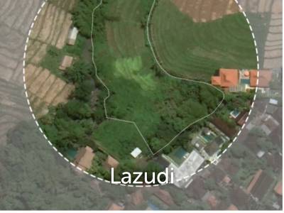 Rare Riverside Plots with Rice field views in Pererenan