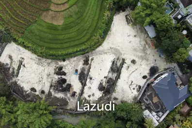 Rare Riverside Plots with Rice field views in Pererenan
