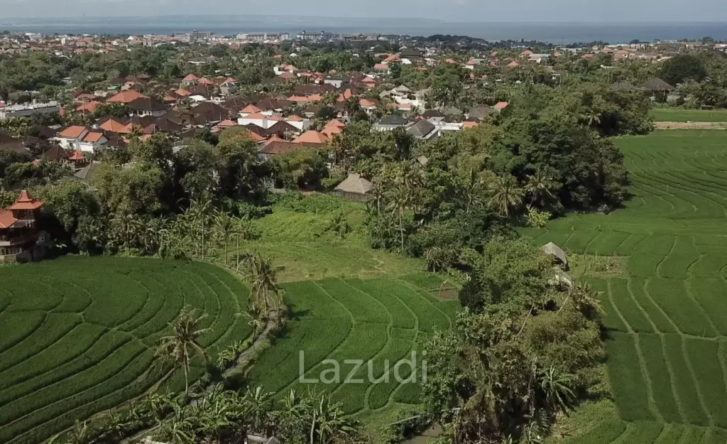 Rare Riverside Plots with Rice field views in Pererenan