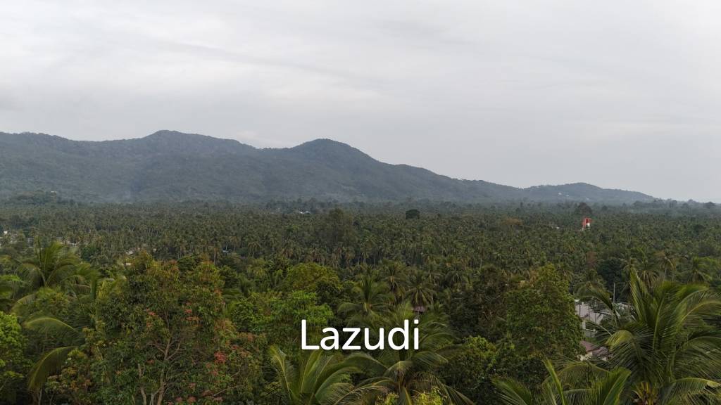 Lush green plot 1248 sqm