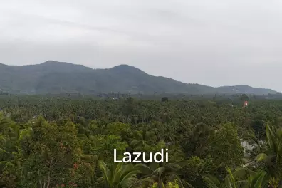 Lush green plot 1248 sqm