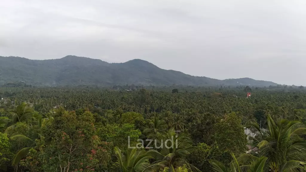 Lush green plot 1248 sqm