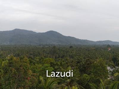 Lush green plot 1248 sqm