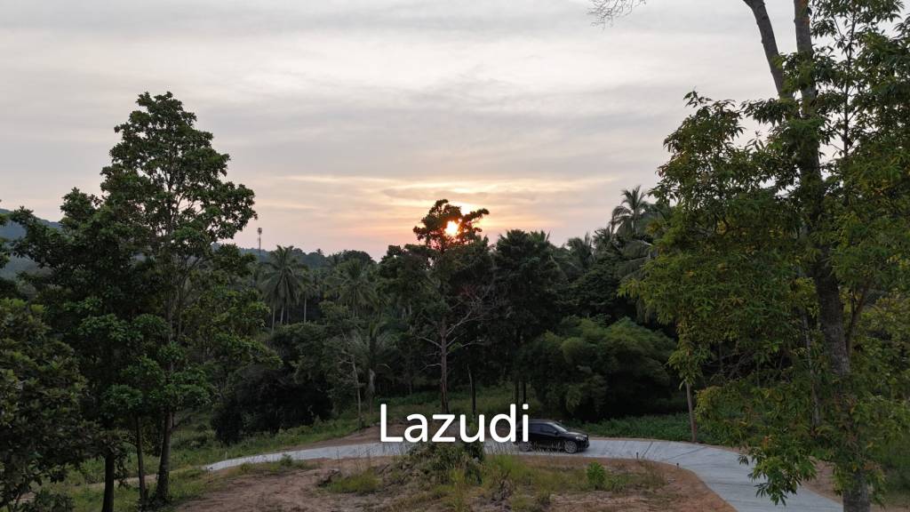Lush green plot 1248 sqm