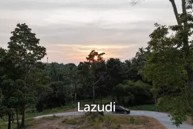 Lush green plot 1248 sqm