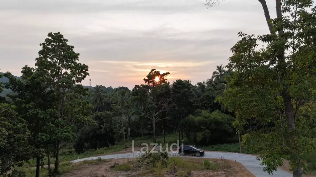 Lush green plot 1248 sqm