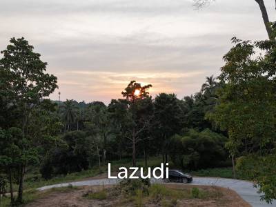 Lush green plot 1248 sqm