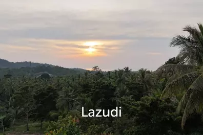 Lush green plot 1248 sqm