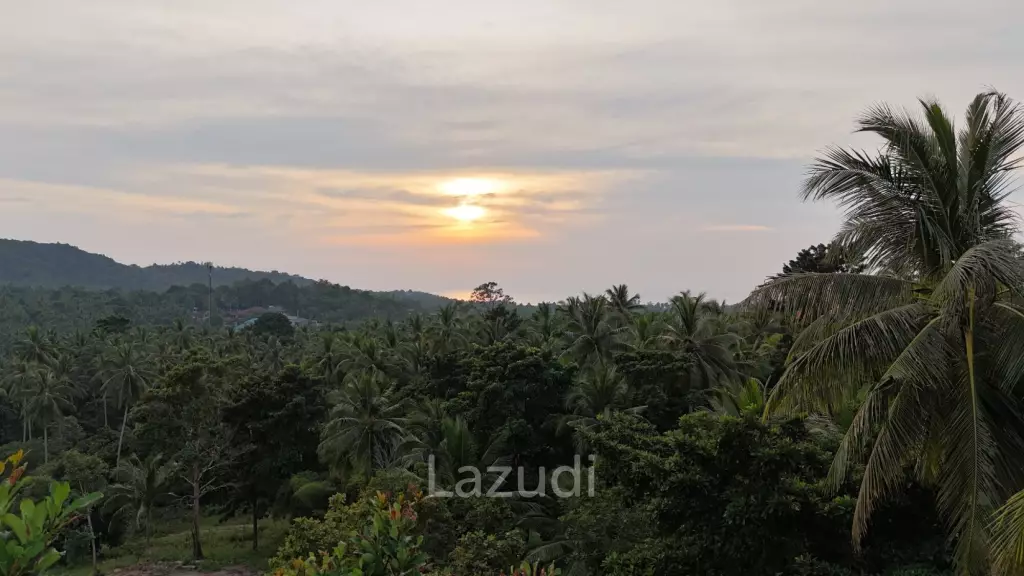 Lush green plot 1248 sqm