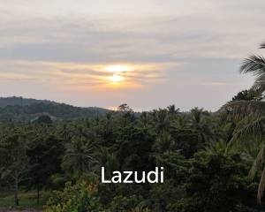 Lush green plot 1248 sqm