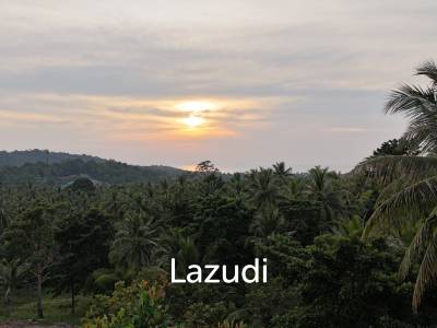 Lush green plot 1248 sqm