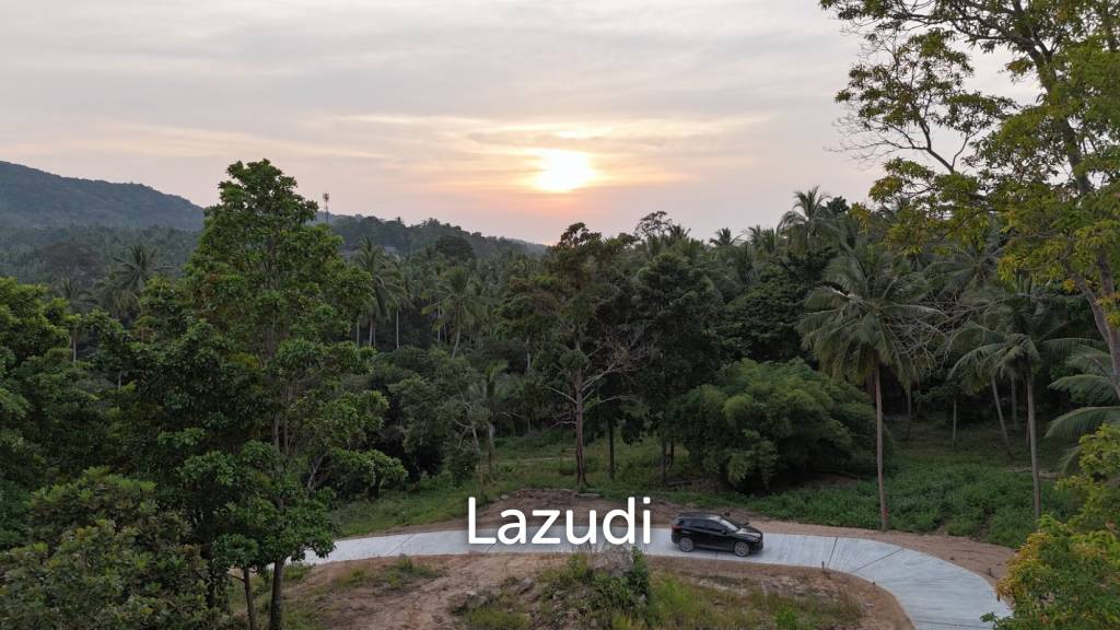 Lush green plot 1248 sqm