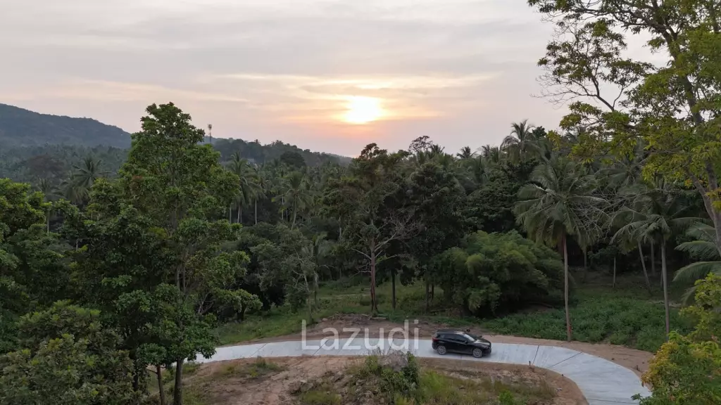 Lush green plot 1248 sqm