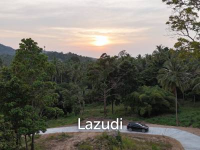 Lush green plot 1248 sqm