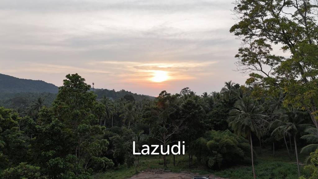 Lush green plot 1248 sqm
