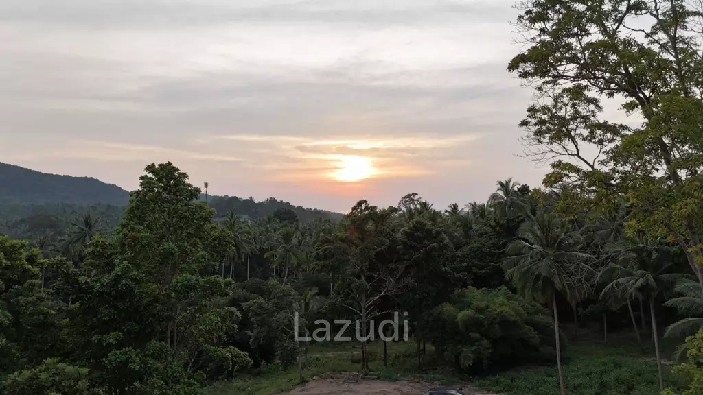 Lush green plot 1248 sqm