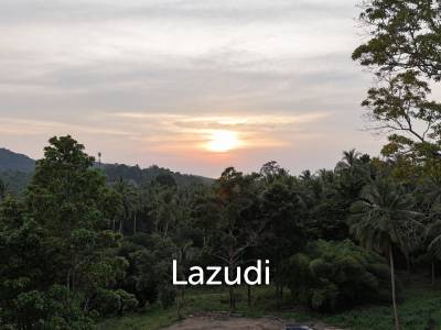 Lush green plot 1248 sqm